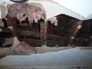 The original plaster board ceilings had been covered with drywall.